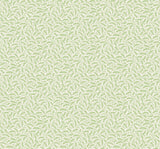 Cossette botanical vine wallpaper in green on an off-white ground