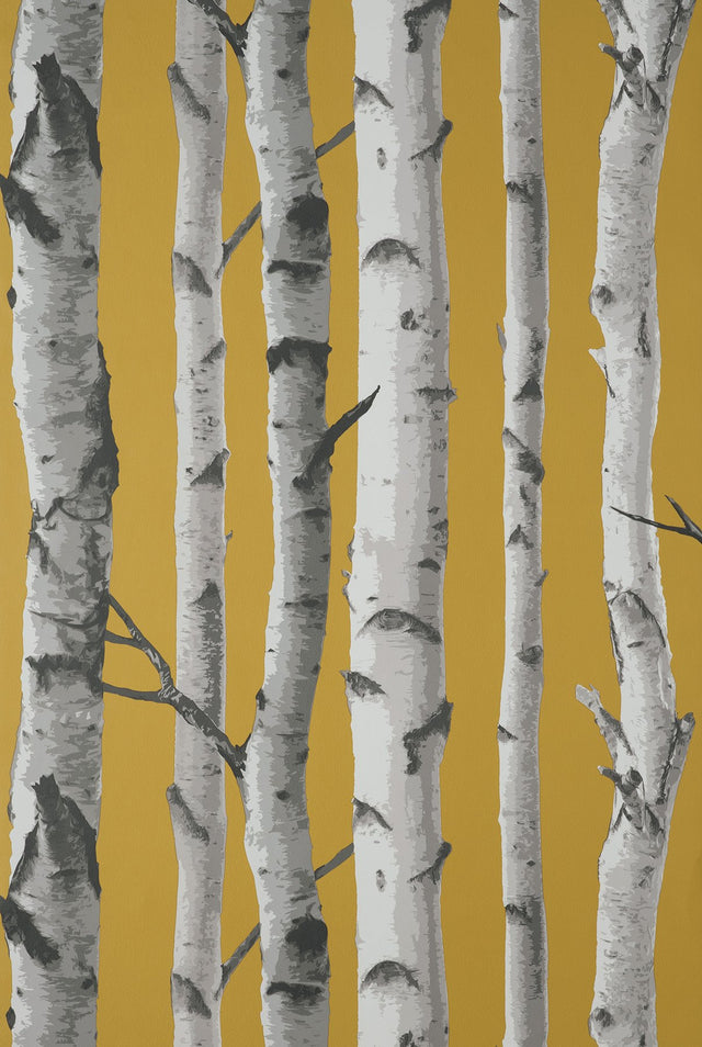 Chester Mustard Birch Trees Wallpaper