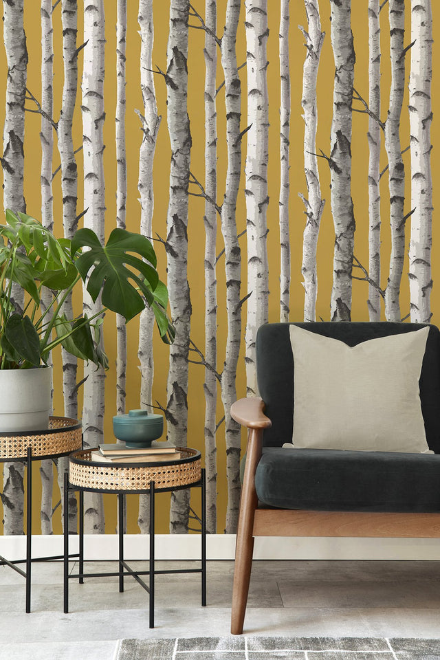 Chester Mustard Birch Trees Wallpaper