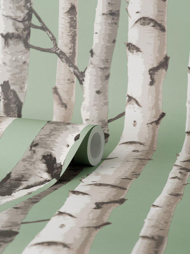 Chester Sage Birch Trees Wallpaper