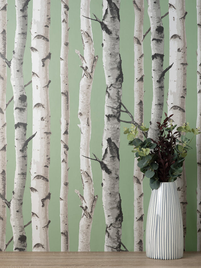 Chester Sage Birch Trees Wallpaper