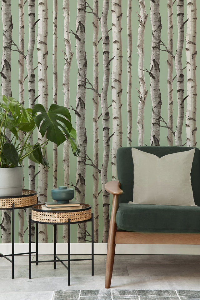 Chester Sage Birch Trees Wallpaper