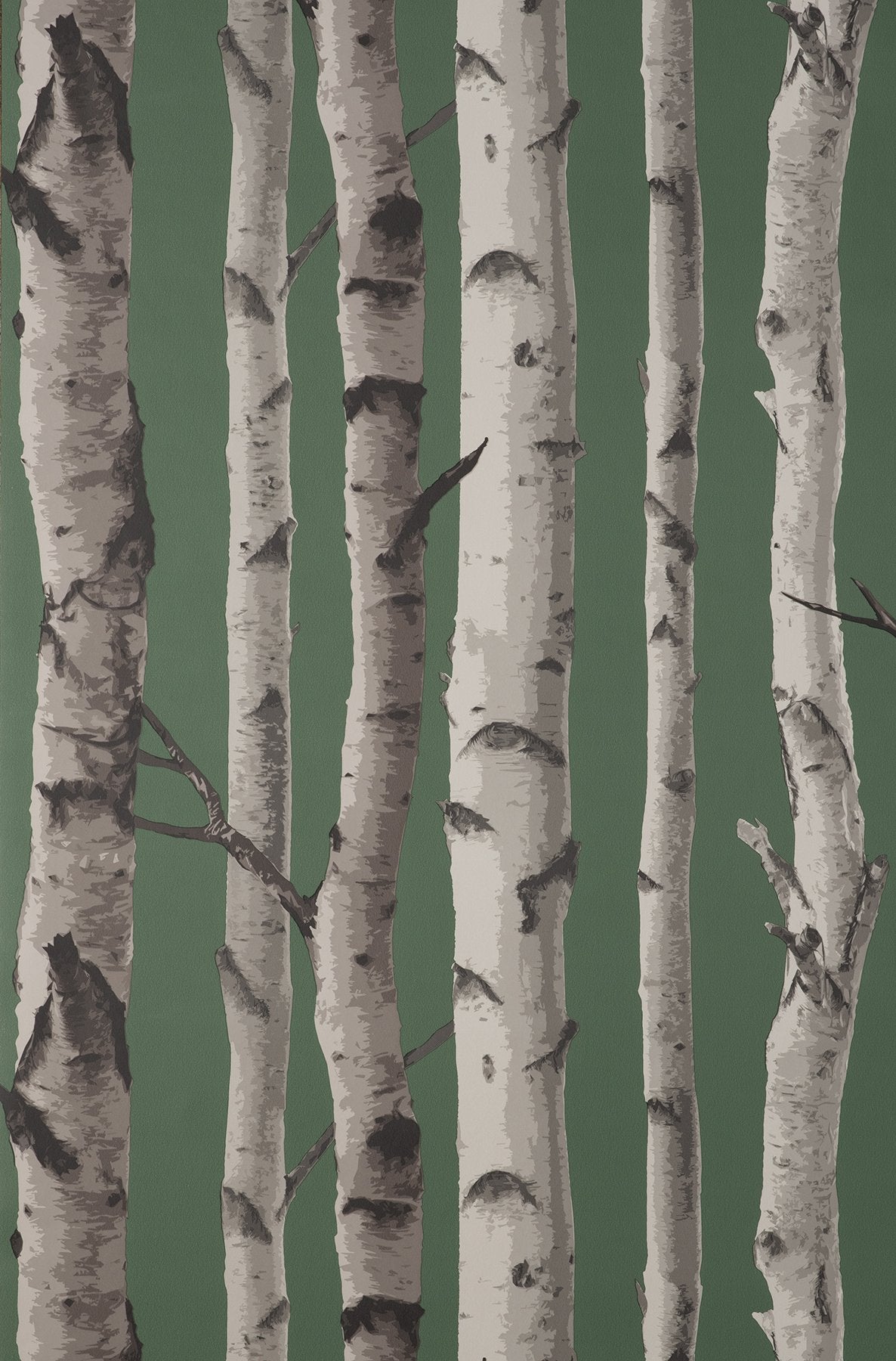 Chester Dark Green Birch Trees Wallpaper with Whimsical Botanical Pattern - Fine Decor FD43292