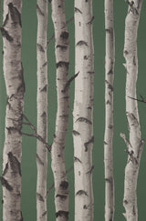 Chester Dark Green Birch Trees Wallpaper with Whimsical Botanical Pattern - Fine Decor FD43292
