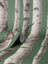 Chester Dark Green Birch Trees Wallpaper with Whimsical Botanical Pattern - Fine Decor FD43292