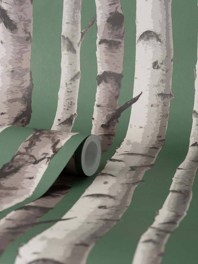 Chester Dark Green Birch Trees Wallpaper with Whimsical Botanical Pattern - Fine Decor FD43292