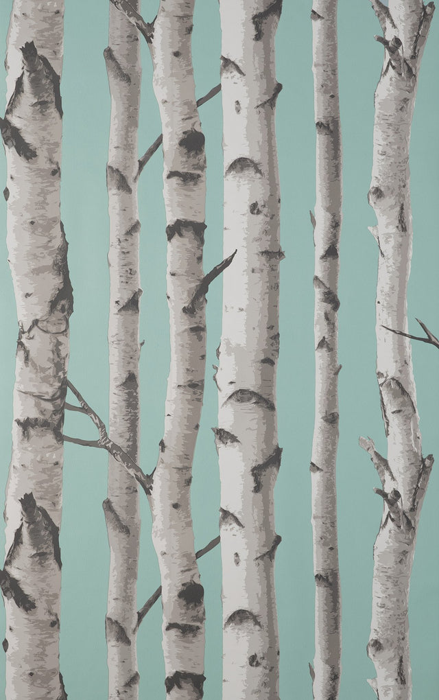 Chester Aqua Birch Trees Wallpaper