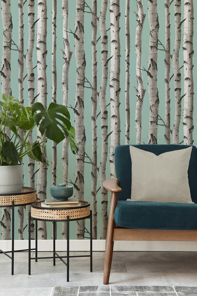 Chester Aqua Birch Trees Wallpaper