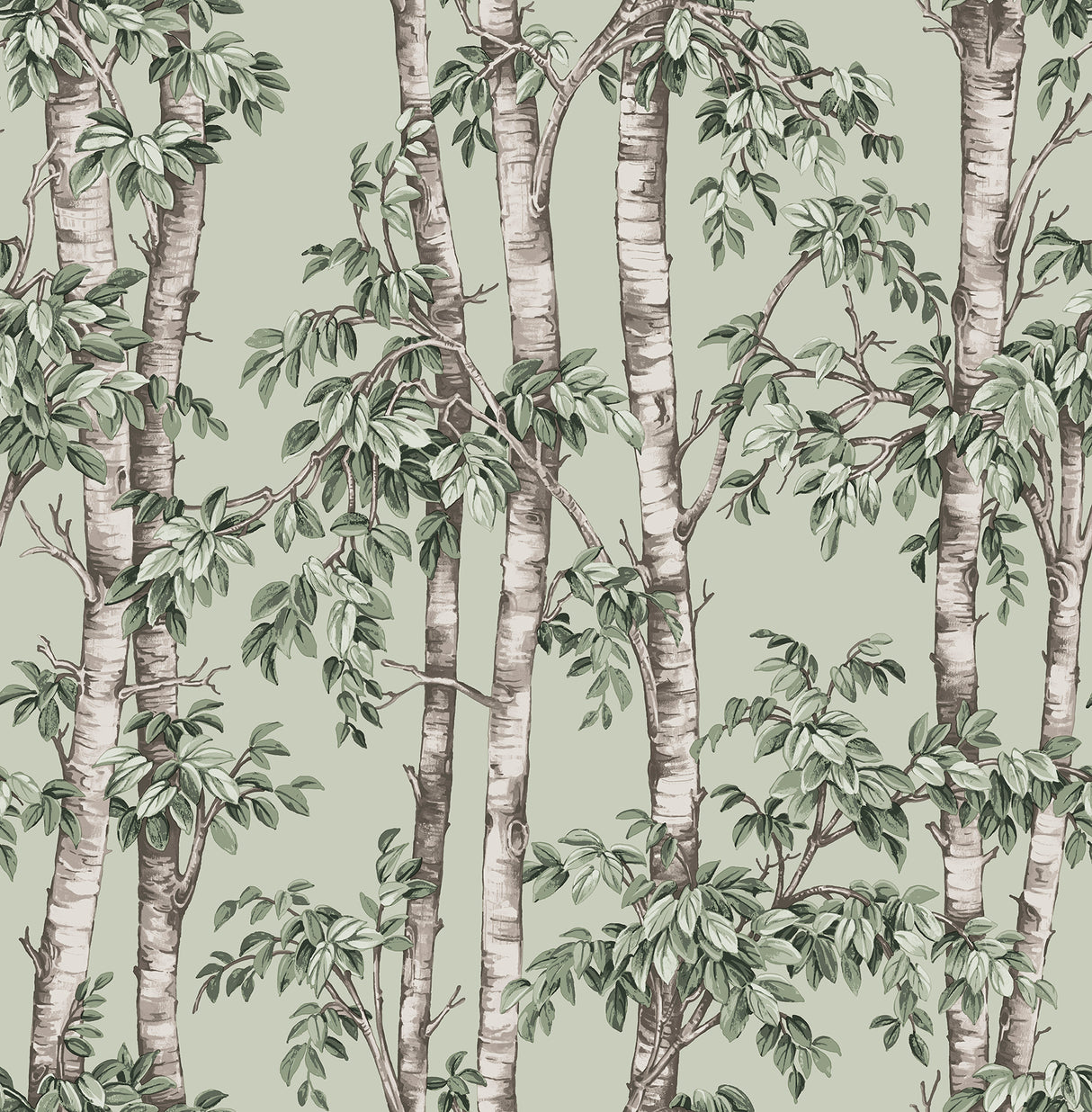 Fine Decor Bastian Green Trees Wallpaper roll and room view