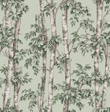 Fine Decor Bastian Green Trees Wallpaper roll and room view