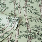 Bastian Green by Fine Decor Trees Wallpaper – Brewster Home Fashions FD43341