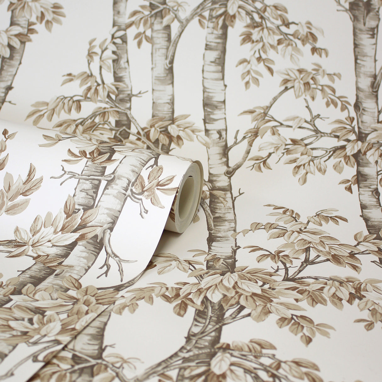 Bastian Neutral by Fine Decor Trees Wallpaper – Brewster Home Fashions FD43343