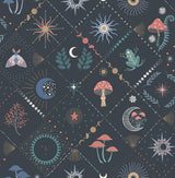 Fine Decor Elmira Black Mystical Wallpaper roll and room scene