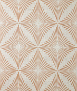 Fine Decor Denver Rust Starburst Wallpaper roll and pattern close-up