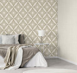 Denver Neutral by Fine Decor Starburst Vinyl Wallpaper – Brewster Home Fashions FD43749
