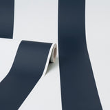 Tiago Blue Stripe by Fine Decor Stripes Wallpaper – Brewster Home Fashions FD43782