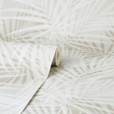Frida Neutral by Fine Decor Textured Palm Wallpaper – Brewster Home Fashions FD43788