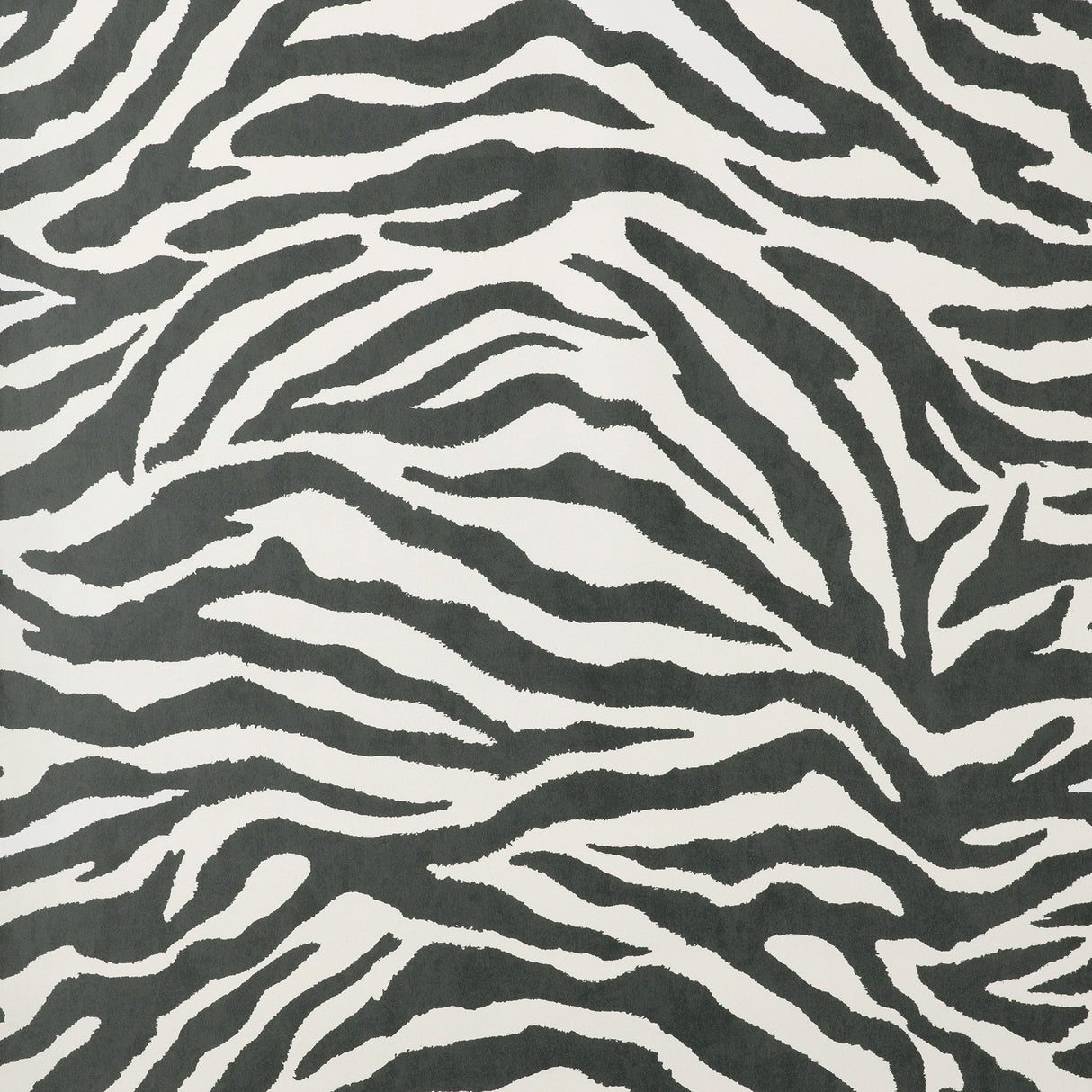 Fine Decor Shoshana Black Modern Zebra unpasted paper wallpaper, 20.5 in x 33 ft roll