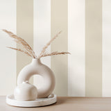 Tavish Neutral by Fine Decor Stripe Wallpaper – Brewster Home Fashions FD43835