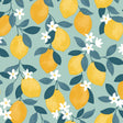 Fine Decor Inigo Seafoam Sicily Fruits Wallpaper FD43837, lemons on seafoam, 20.5 in x 33 ft roll