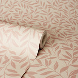 Marin Blush Leaf Trail by Fine Decor Botanical Wallpaper – Brewster Home Fashions FD43840