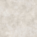 Godric Dove Limewash Plaster Wallpaper by Fine Decor - FD43939