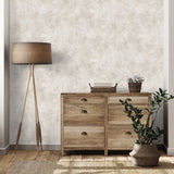 Godric Dove Soft Grey and Beige Limewash Plaster Wallpaper by Fine Decor Transitional Distressed Texture Washable Non Woven Sidewall - FD43939
