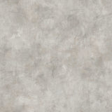 Godric Grey Limewash Plaster Wallpaper by Fine Decor - FD43940