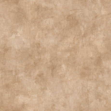 Godric Chestnut Limewash Plaster Wallpaper by Fine Decor - FD43941