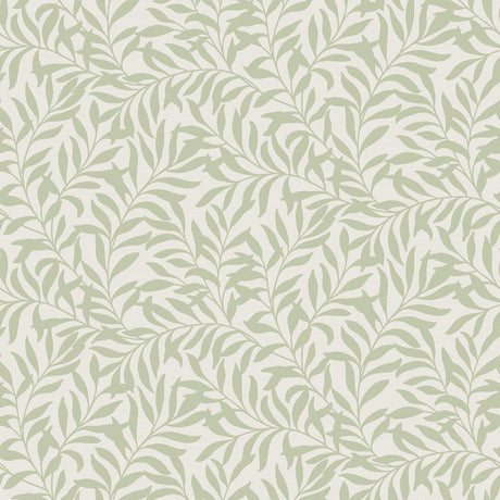 Salix Sage Trailing Leaf Wallpaper by Fine Decor - FD43942