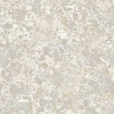 Amell Neutral Roma Marble Wallpaper by Fine Decor - FD43949