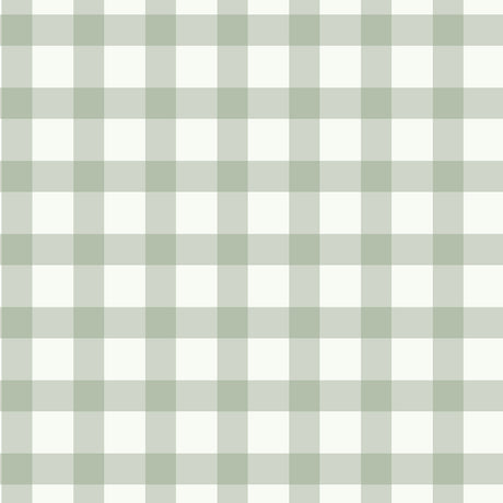 Belen Sage Gingham Wallpaper by Fine Decor - FD43970