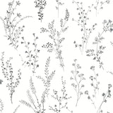 Wildflower Sprigs Black & White Wallpaper with Bohemian Floral Pattern - York FH4026
