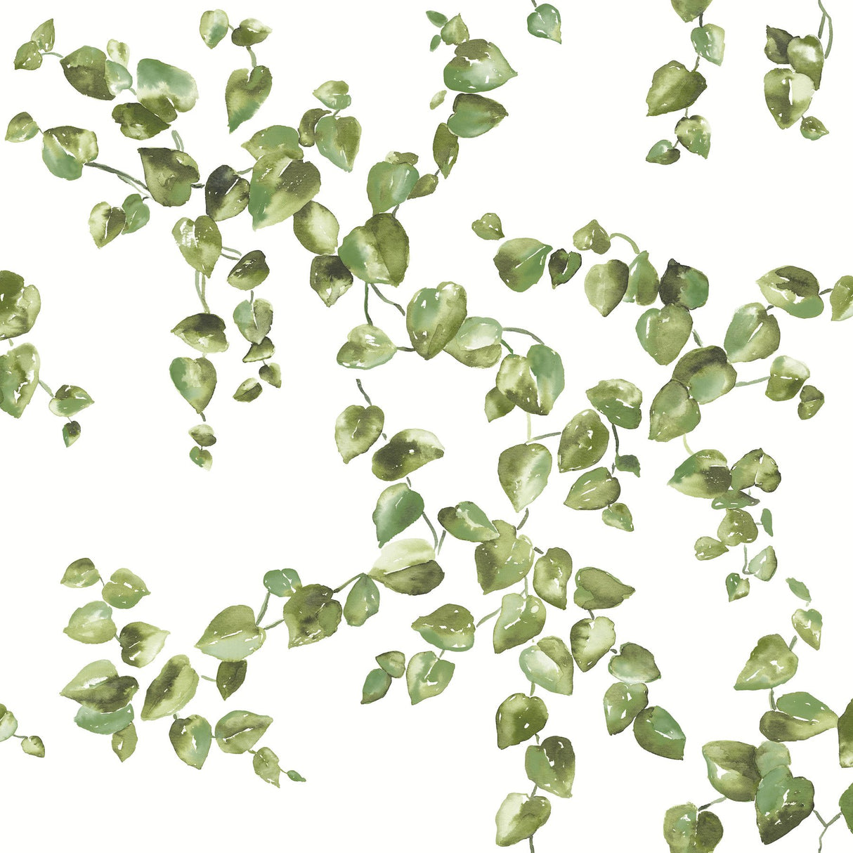 Creeping Fig Vine Green Wallpaper with Botanical Vine Pattern - York FH4036