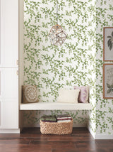 Creeping Fig Vine Green Wallpaper with Botanical Vine Pattern - York FH4036