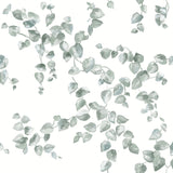 Creeping Fig Vine Sage Wallpaper with Botanical Watercolor Vine Pattern - York FH4037