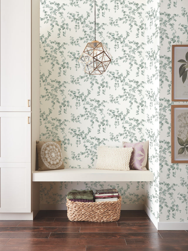 Creeping Fig Vine Sage Wallpaper with Botanical Watercolor Vine Pattern - York FH4037