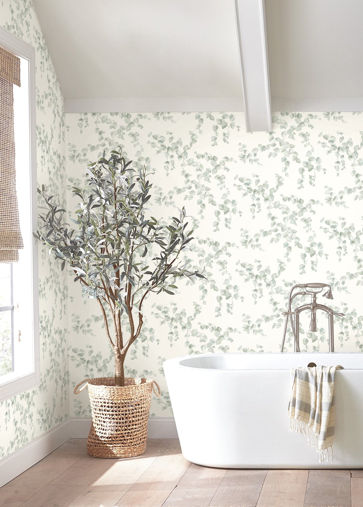 Creeping Fig Vine Sage Wallpaper with Botanical Watercolor Vine Pattern - York FH4037