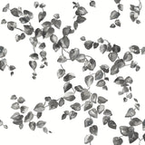 Creeping Fig Vine Black & White Wallpaper with Botanical Ivy/Vines Motif - York FH4038
