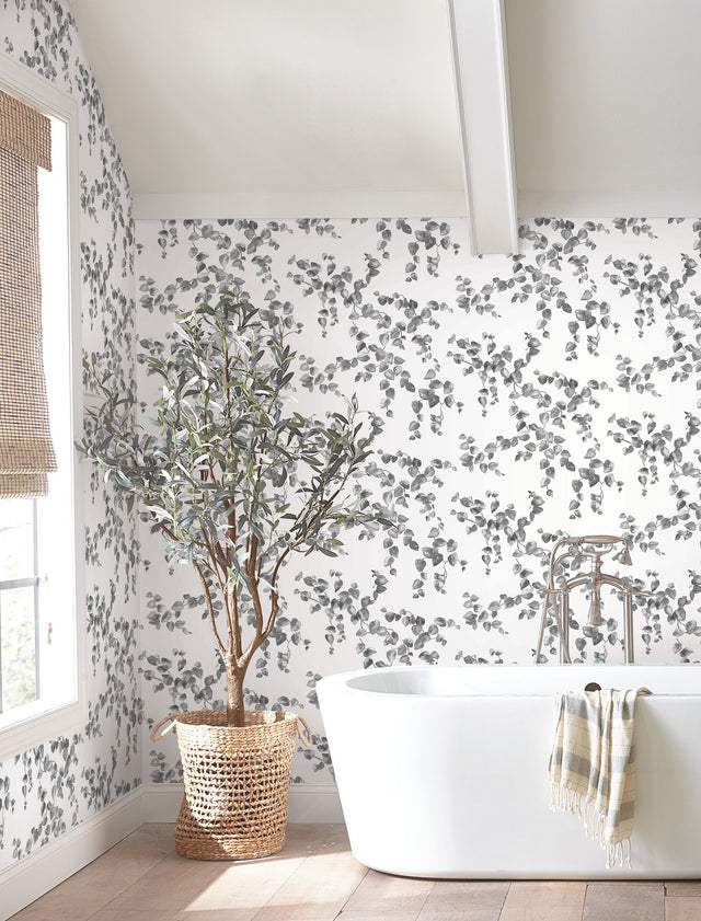 Creeping Fig Vine Black & White Wallpaper with Botanical Ivy/Vines Motif - York FH4038
