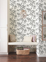 Creeping Fig Vine Black & White Wallpaper with Botanical Ivy/Vines Motif - York FH4038