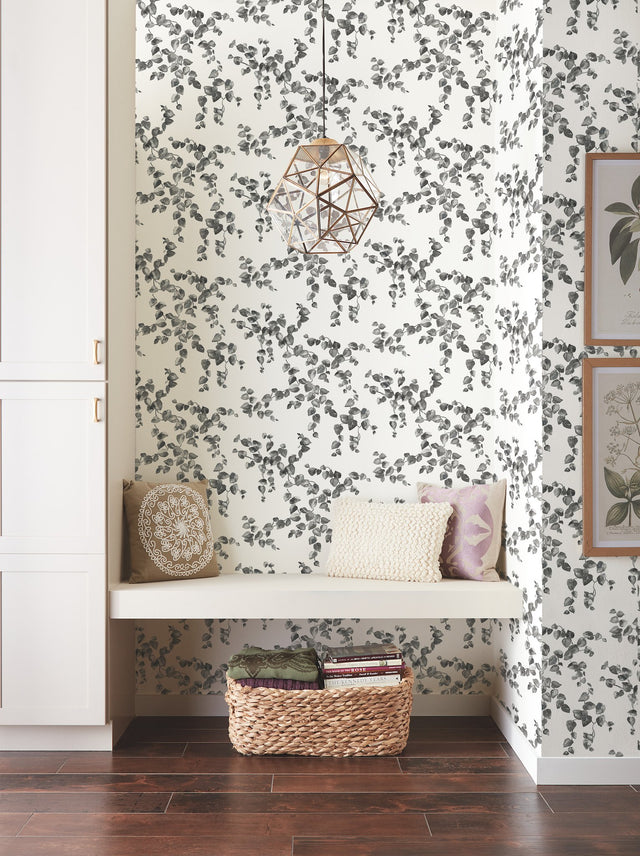 Creeping Fig Vine Black & White Wallpaper with Botanical Ivy/Vines Motif - York FH4038