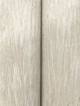 Gilded Plume Warm Grey Wallpaper with Metallic Textured Plume Pattern - York FM1003