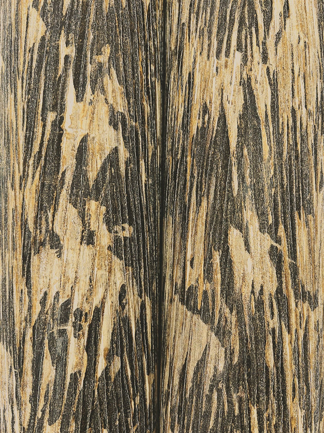 Gilded Plume Black Wallpaper with Metallic Textured Feather Motif - York FM1004