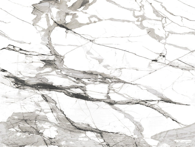 Imperial Marble Black & White Wall Mural with Modern Marble Vein Pattern - York FM1109M