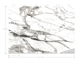 Imperial Marble Black & White Wall Mural with Modern Marble Vein Pattern - York FM1109M