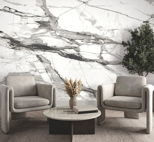 Imperial Marble Black & White Wall Mural with Modern Marble Vein Pattern - York FM1109M
