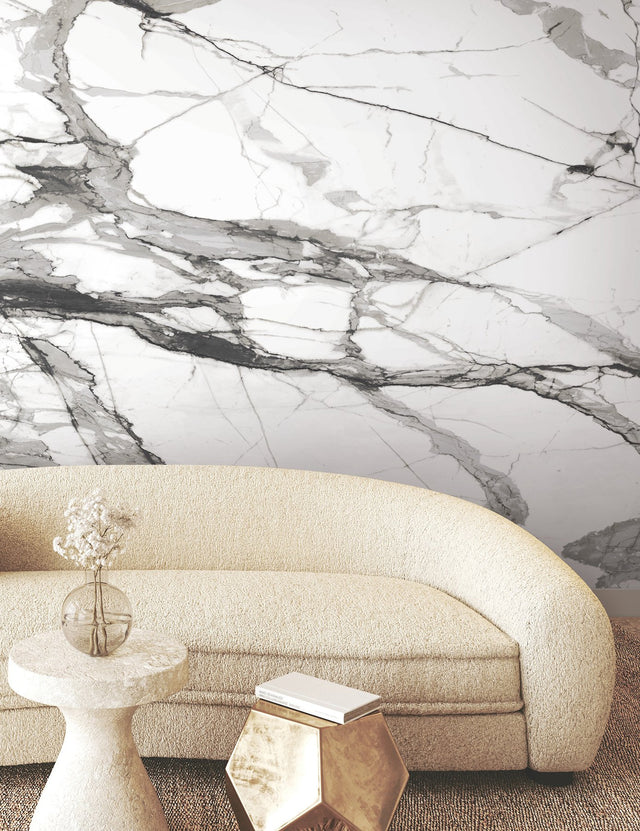 Imperial Marble Black & White Wall Mural with Modern Marble Vein Pattern - York FM1109M