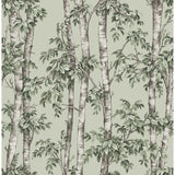 Fine Decor Bastian Green Trees Wallpaper roll and room view