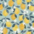 Fine Decor Inigo Seafoam Sicily Fruits Wallpaper FD43837, lemons on seafoam, 20.5 in x 33 ft roll